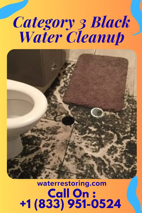 Category 3 Black Water Cleanup in Fairchance, PA