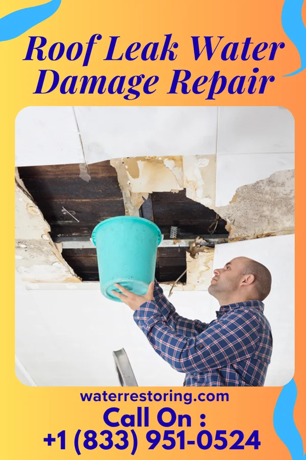 Roof Leak Water Damage Repair in Fairchance, PA
