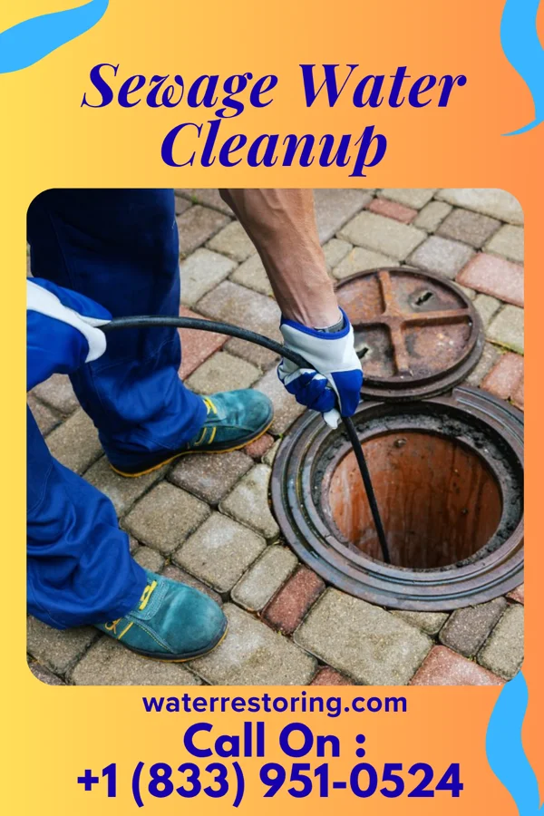 Sewage Water Cleanup in Fairchance, PA