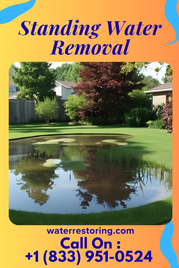 Standing Water Removal in Fairchance, PA